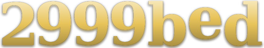 2999bed logo